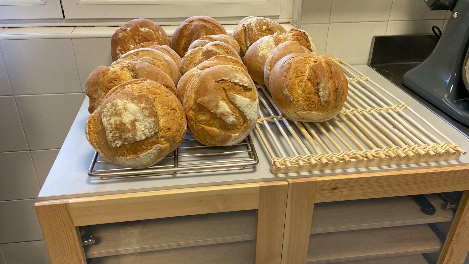 primeros resultados panadería abril 22